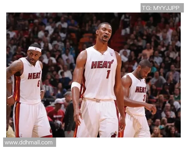 波什绝杀热火逆转猛龙精彩瞬间回顾与赛后分析