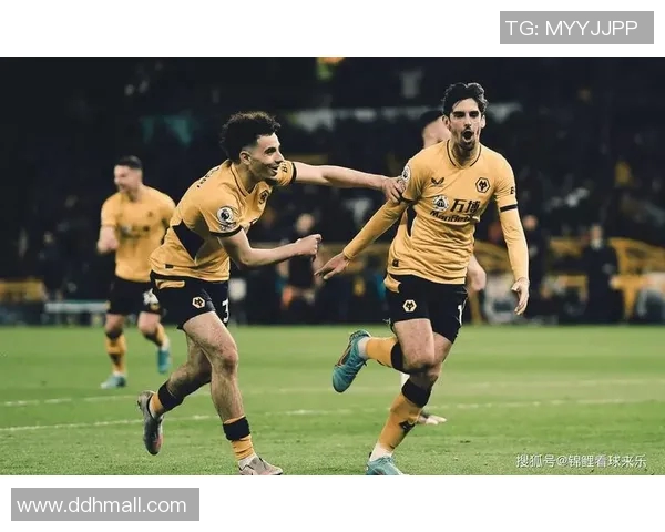 维迪斯与尼斯对决足彩分析及赛事预测全面解析